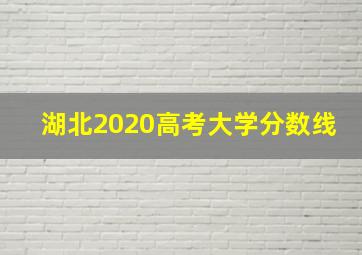 湖北2020高考大学分数线