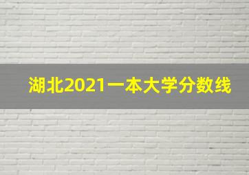 湖北2021一本大学分数线