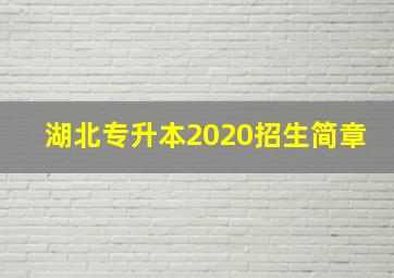 湖北专升本2020招生简章