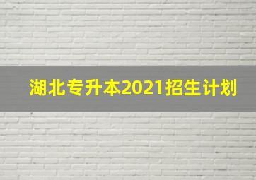 湖北专升本2021招生计划