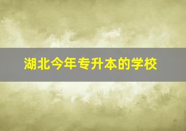 湖北今年专升本的学校