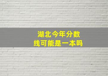 湖北今年分数线可能是一本吗