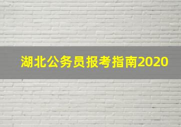 湖北公务员报考指南2020