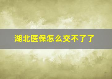 湖北医保怎么交不了了