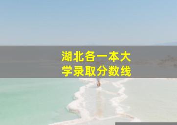 湖北各一本大学录取分数线