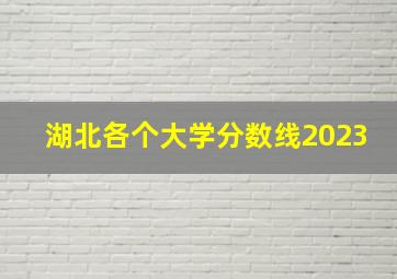 湖北各个大学分数线2023