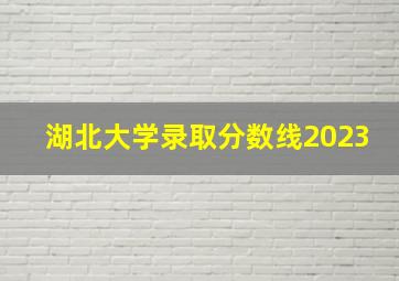 湖北大学录取分数线2023