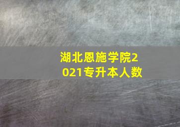 湖北恩施学院2021专升本人数