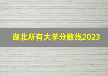 湖北所有大学分数线2023