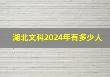 湖北文科2024年有多少人