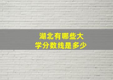 湖北有哪些大学分数线是多少