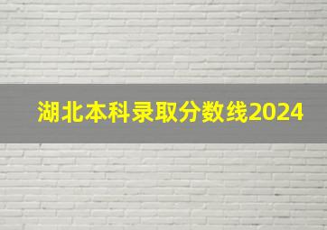 湖北本科录取分数线2024