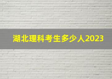 湖北理科考生多少人2023