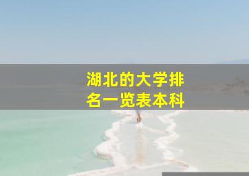 湖北的大学排名一览表本科