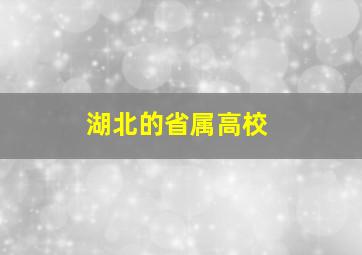 湖北的省属高校