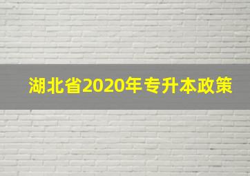 湖北省2020年专升本政策