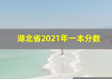 湖北省2021年一本分数