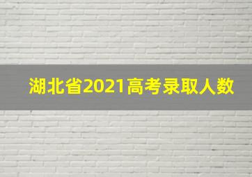 湖北省2021高考录取人数