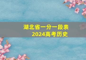 湖北省一分一段表2024高考历史