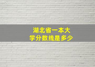 湖北省一本大学分数线是多少