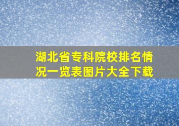 湖北省专科院校排名情况一览表图片大全下载