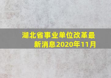 湖北省事业单位改革最新消息2020年11月