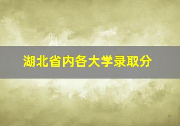 湖北省内各大学录取分