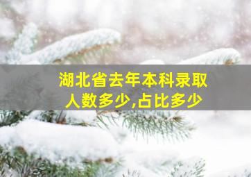 湖北省去年本科录取人数多少,占比多少