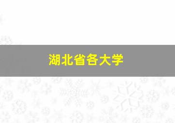 湖北省各大学