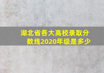 湖北省各大高校录取分数线2020年级是多少