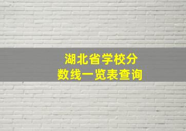 湖北省学校分数线一览表查询