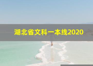 湖北省文科一本线2020