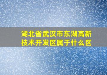 湖北省武汉市东湖高新技术开发区属于什么区