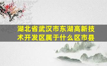 湖北省武汉市东湖高新技术开发区属于什么区市县