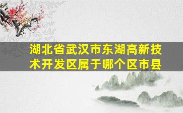 湖北省武汉市东湖高新技术开发区属于哪个区市县