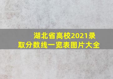 湖北省高校2021录取分数线一览表图片大全