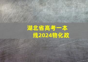 湖北省高考一本线2024物化政