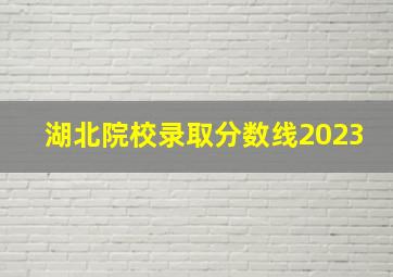 湖北院校录取分数线2023