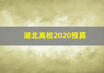 湖北高校2020预算