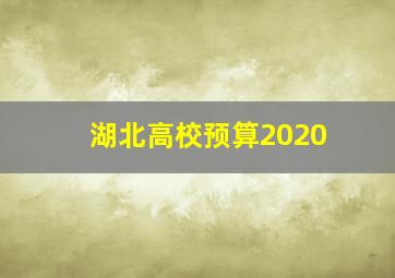 湖北高校预算2020