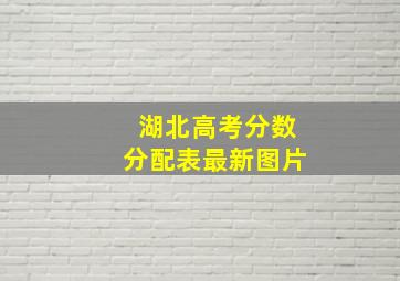 湖北高考分数分配表最新图片