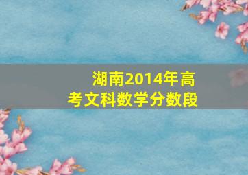 湖南2014年高考文科数学分数段