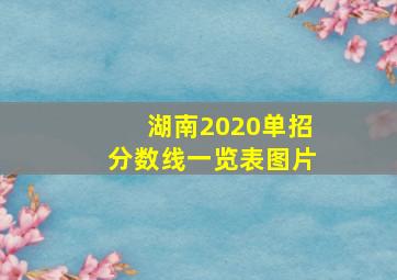 湖南2020单招分数线一览表图片