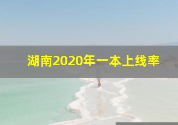 湖南2020年一本上线率