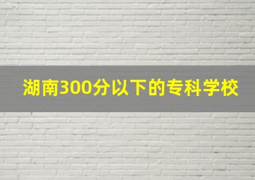 湖南300分以下的专科学校