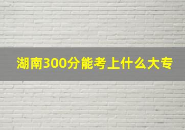 湖南300分能考上什么大专