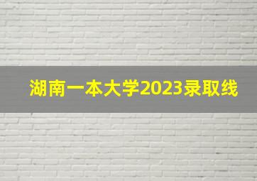 湖南一本大学2023录取线