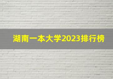 湖南一本大学2023排行榜