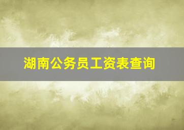 湖南公务员工资表查询