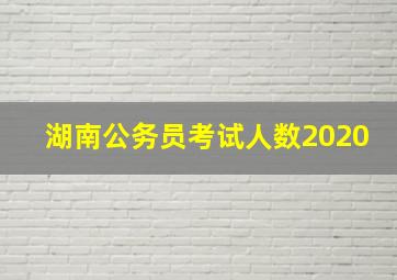 湖南公务员考试人数2020